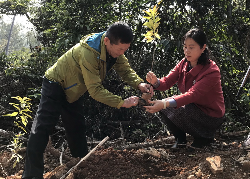 20180323 义务植树  (8).jpg
