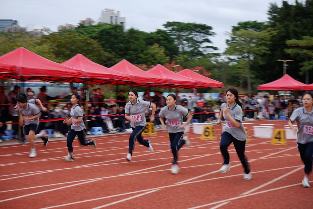 DSC01791.JPG