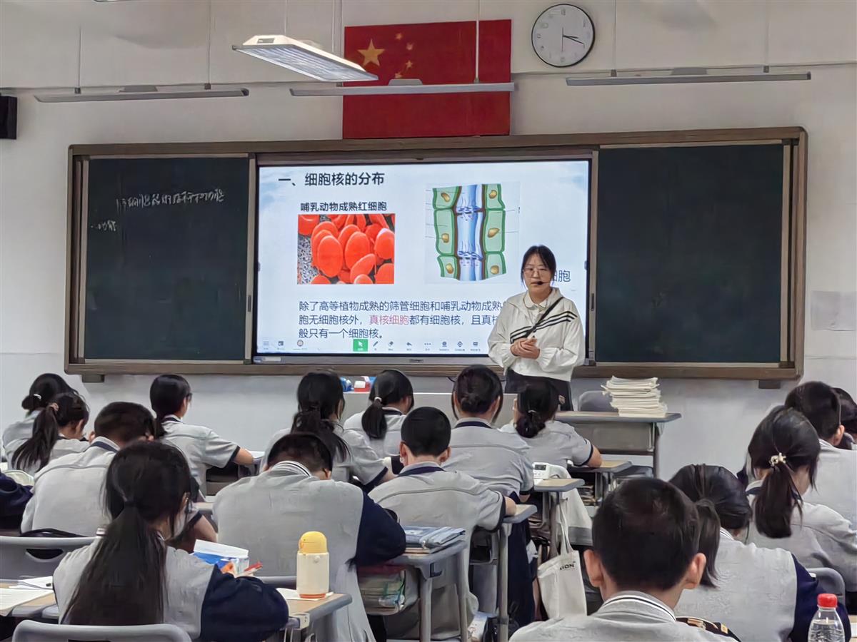 综合高中2.jpg