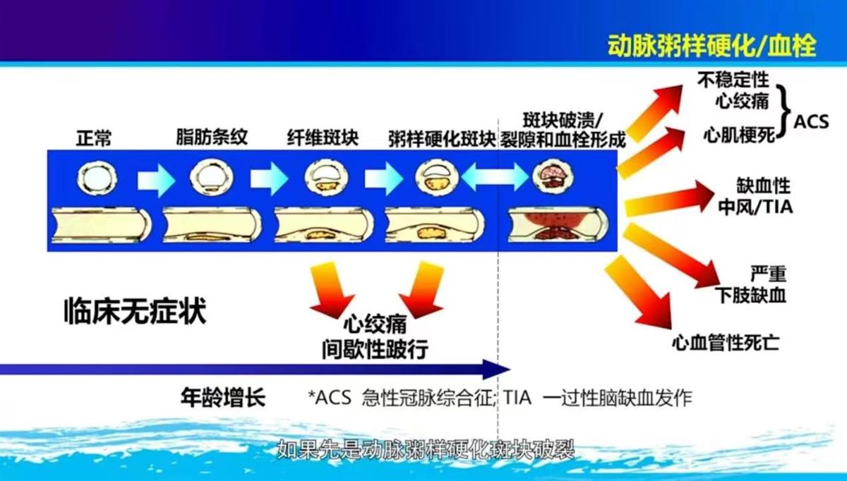 微信图片_20241101092943.jpg