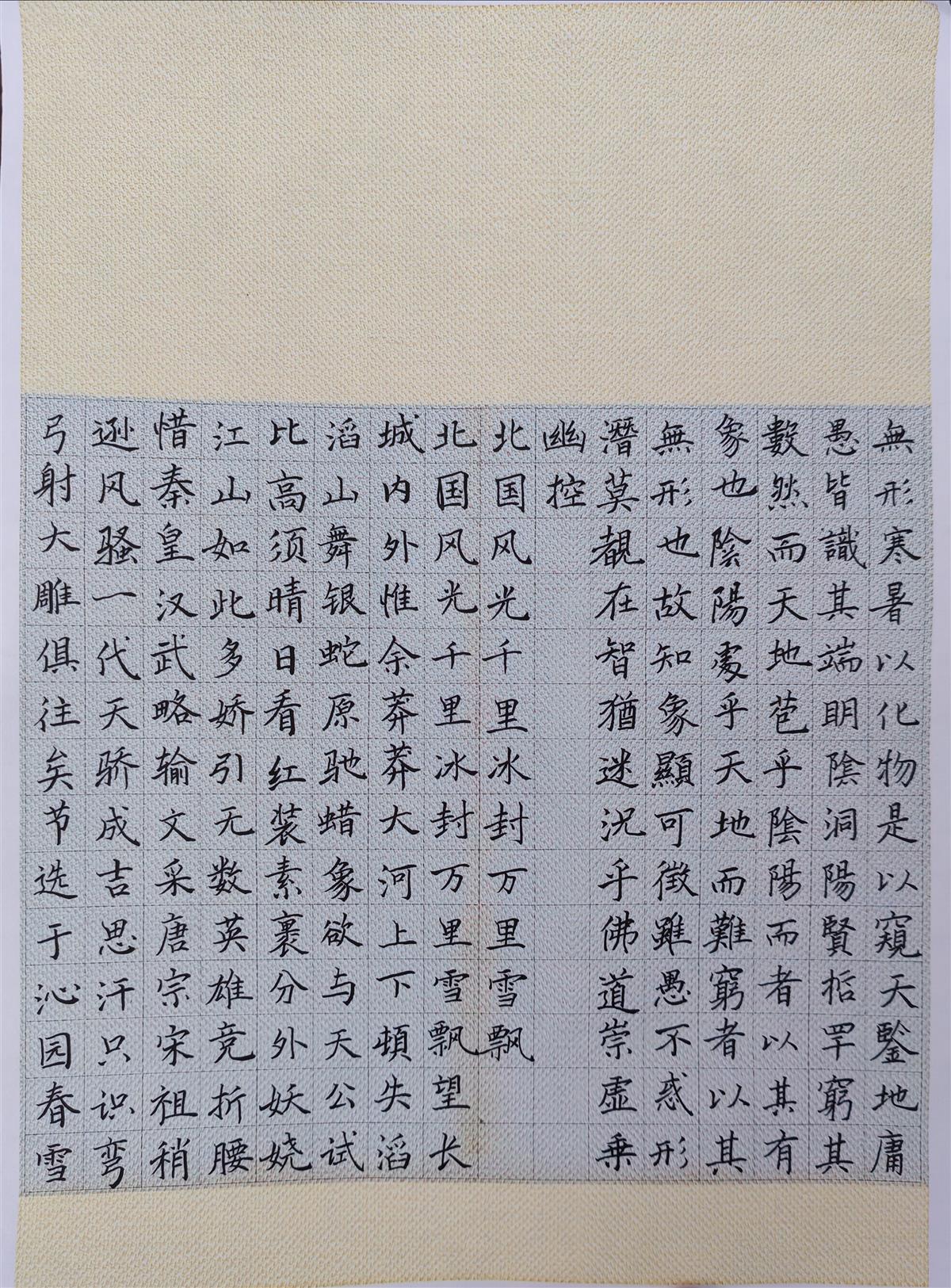 苏梓涵.jpg